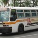 Image for article titled My Love For These Two Buses Runs Deep